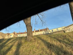 294-21-01-2026 IMG_3530